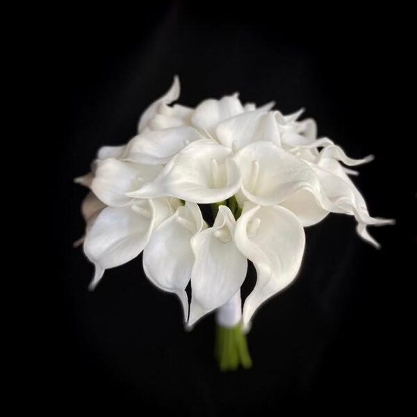 Zarif Beyaz Calla Lily (Bodrum Lalesi) Gelin Buketi